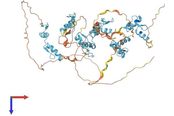 ZNF48 Protein (AA 1-618) (His tag)