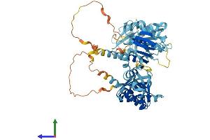 Protein Structure (PS) image for Insulin-Like Growth Factor 2 mRNA Binding Protein 3 (IGF2BP3) (AA 1-579) protein (His tag) (ABIN7564935)