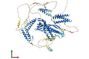 Protein Structure (PS) image for Coiled-Coil and C2 Domain Containing 1A (CC2D1A) (AA 1-951) protein (His tag) (ABIN7552824)
