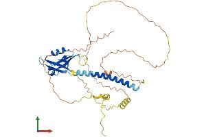 Protein Structure (PS) image for Cytohesin 1 Interacting Protein (CYTIP) (AA 1-359) protein (His tag) (ABIN7560005)