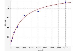 Aminoacyl tRNA Synthetase Complex-Interacting Multifunctional Protein 1 (AIMP1) ELISA Kit