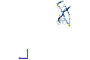 Protein Structure (PS) image for Hook Homolog 3 (HOOK3) (AA 1-718) protein (His tag) (ABIN7554126)