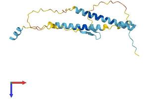 ITGB3BP Protein (AA 1-176) (His tag)