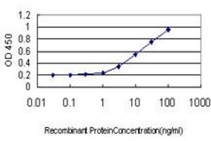 Detection limit for recombinant GST tagged TEK is approximately 0. (TEK Antikörper  (AA 701-800))