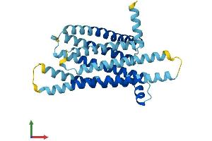 AlphaFold protein structure predicition of Human Recombinant TAS2R50 Protein, UniprotID P59544