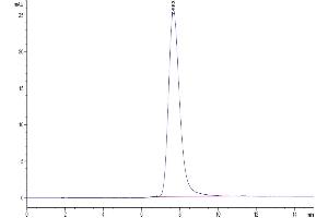 Size-exclusion chromatography-High Pressure Liquid Chromatography (SEC-HPLC) image for Leukocyte Immunoglobulin-Like Receptor, Subfamily B (With TM and ITIM Domains), Member 1 (LILRB1) (AA 17-456) protein (His tag) (ABIN7275156)