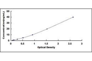 Typical standard curve (TIMP1 ELISA Kit)