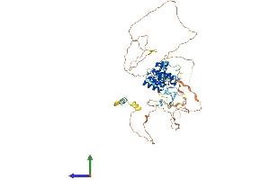 Protein Structure (PS) image for Autoimmune Regulator (AIRE) (AA 1-545) protein (His tag) (ABIN7552136)