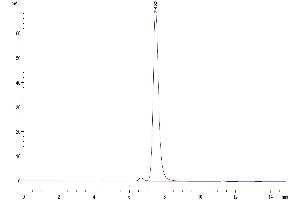 The purity of Biotinylated Human HLA-G Complex is greater than 95 % as determined by SEC-HPLC. (HLAG Protein (Monomer) (Biotin,HLA-G))