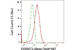 Flow cytometric analysis of FERMT2 expression in HepG2 cells using FERMT2 antibody (ABIN7798592), 1:2,000). (FERMT2 Antikörper)