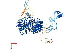 CPSF2 Protein (AA 1-782) (His tag)