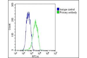 Overlay histogram showing Hela cells stained with (ABIN1538018 and ABIN2850097)(green line).