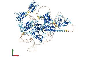Protein Structure (PS) image for Polybromo 1 (PBRM1) (AA 1-1634) protein (His tag) (ABIN7564419)