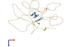 RSC1A1 Protein (AA 1-582) (His tag)