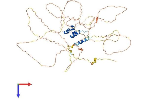 RSC1A1 Protein (AA 1-582) (His tag)