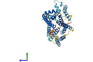 AlphaFold protein structure predicition of Human Recombinant SLC35B2 Protein, UniprotID Q8TB61 (SLC35B2 Protein (AA 1-432) (His tag))