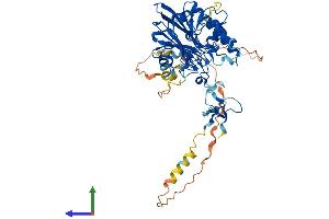 Protein Structure (PS) image for APEX Nuclease (Apurinic/apyrimidinic Endonuclease) 2 (APEX2) (AA 1-518) protein (His tag) (ABIN7552313)