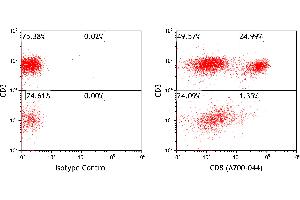 anti-CD8a Molecule (CD8A) (AA 185-235) antibody