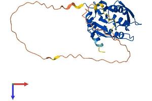 CTDSPL Protein (AA 1-276) (His tag)