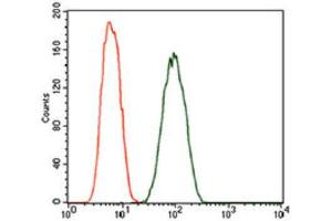 Flow Cytometry (FACS) image for anti-Dynactin 4 (DCTN4) (AA 57-298) antibody (ABIN1843394) (Dynactin 4 Antikörper  (AA 57-298))