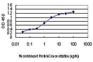 Detection limit for recombinant GST tagged GATA2 is approximately 0. (GATA2 Antikörper  (AA 1-102))