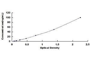 Typical standard curve (CYP3A4 ELISA Kit)