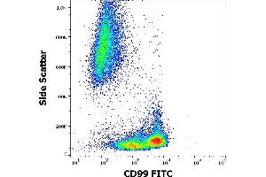 Flow cytometry surface staining pattern of human peripheral whole blood stained using anti-human CD99 (3B2/TA8) FITC antibody (4 μL reagent / 100 μL of peripheral whole blood).