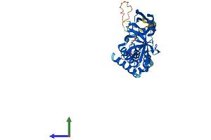 Protein Structure (PS) image for GIPC PDZ Domain Containing Family, Member 3 (GIPC3) (AA 1-312) protein (His tag) (ABIN7547926)