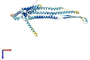 OCSTAMP Protein (AA 1-498) (His tag)