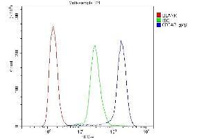Flow Cytometry analysis of K562 cells using anti-D2AP antibody (ABIN6719544). (CD2AP Antikörper  (AA 253-337))