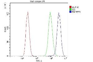 Flow Cytometry analysis of A431 cells using anti-FH antibody (ABIN5518986). (FH Antikörper)