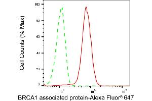 Flow cytometric analysis of BRCA1 associated protein expression in H9c2 cells using BRCA1 associated protein antibody (ABIN7797784), 1:2,000).