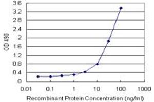 Sandwich ELISA detection sensitivity ranging from 0.