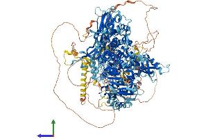 Protein Structure (PS) image for Phosphatidylinositol-4-Phosphate 3-Kinase, Catalytic Subunit Type 2 beta (PIK3C2B) (AA 1-1634) protein (His tag) (ABIN7554823)