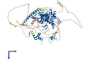 OTUD7B Protein (AA 1-840) (His tag)