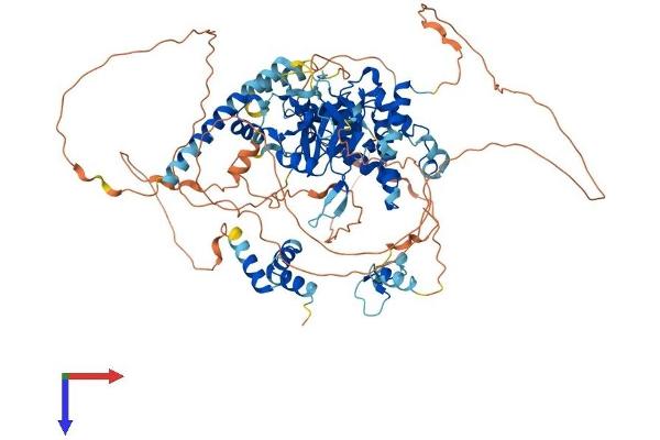 OTUD7B Protein (AA 1-840) (His tag)