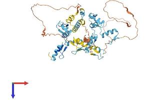 AlphaFold protein structure predicition of Human Recombinant ZNF772 Protein, UniprotID Q68DY9