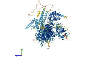 AlphaFold protein structure predicition of Mouse Recombinant Prex2 Protein, UniprotID Q3LAC4