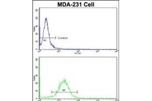 Flow Cytometry (FACS) image for anti-Fatty Acid Binding Protein 3, Muscle and Heart (FABP3) (AA 1-30), (N-Term) antibody (ABIN390431)
