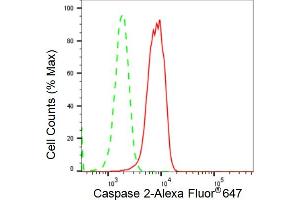 Flow cytometric analysis of Caspase 2 expression in HepG2 cells using Caspase 2 antibody (ABIN7797891), 1:2,000). (Rekombinanter Caspase 2 Antikörper)