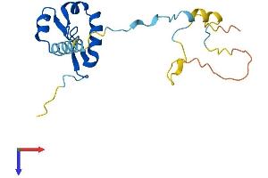 GTSF1 Protein (AA 1-167) (His tag)