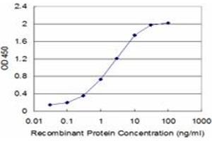 Detection limit for recombinant GST tagged FAS is approximately 0. (FAS Antikörper  (AA 20-119))