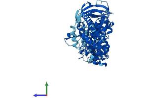 ATP6V1A Protein (AA 1-617) (His tag)