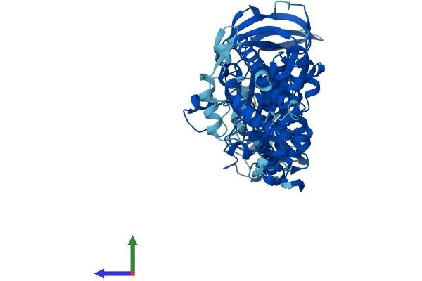 ATP6V1A Protein (AA 1-617) (His tag)