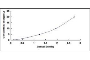 Typical standard curve (PSMB6 ELISA Kit)