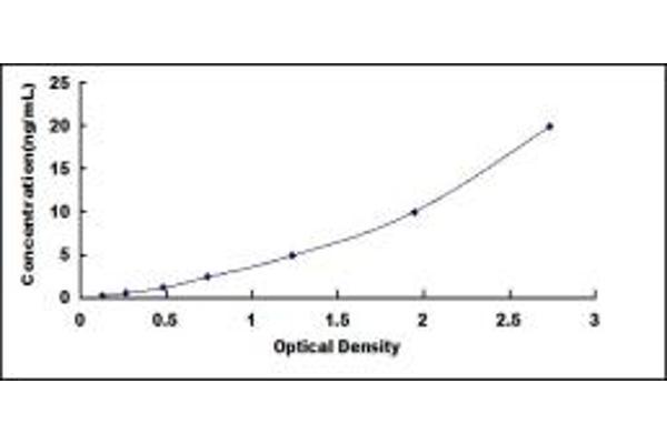 PSMB6 ELISA Kit