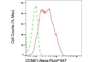 Flow cytometric analysis of CCNE1 expression in HeLa cells using CCNE1 antibody (ABIN7798198), 1:2,000). (Rekombinanter Cyclin E1 Antikörper)