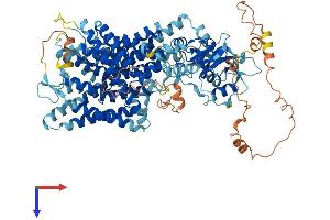 CLCN6 Protein (AA 1-869) (His tag)