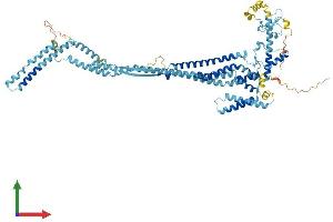AlphaFold protein structure predicition of Human Recombinant DCST1 Protein, UniprotID Q5T197 (DCST1 Protein (AA 1-706) (His tag))