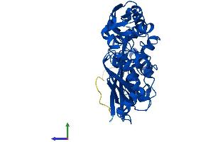 Protein Structure (PS) image for Methionine Adenosyltransferase II, alpha (MAT2A) (AA 1-395) protein (His tag) (ABIN7557062)